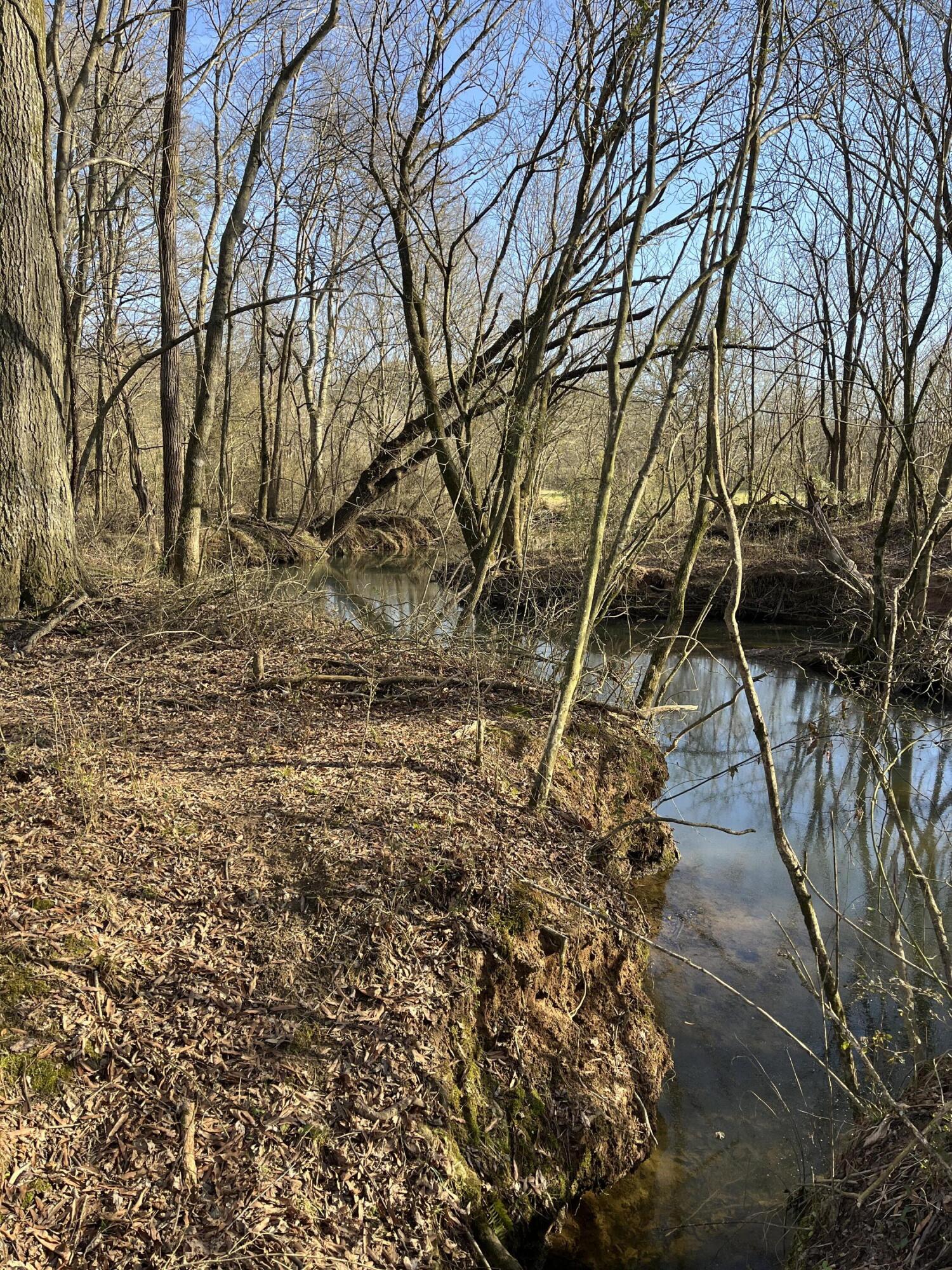 40 Acres Quinton Road, Rocky Face, Georgia image 32