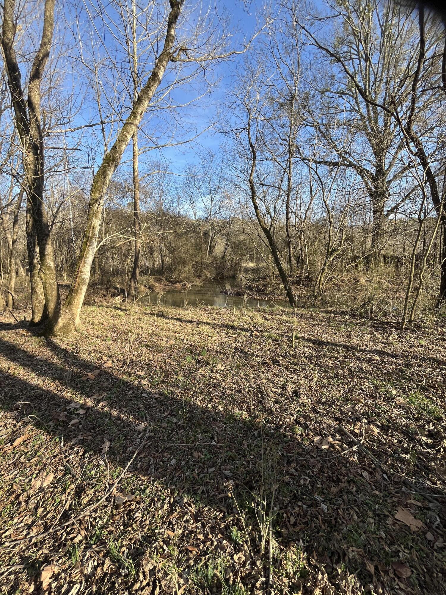 40 Acres Quinton Road, Rocky Face, Georgia image 35