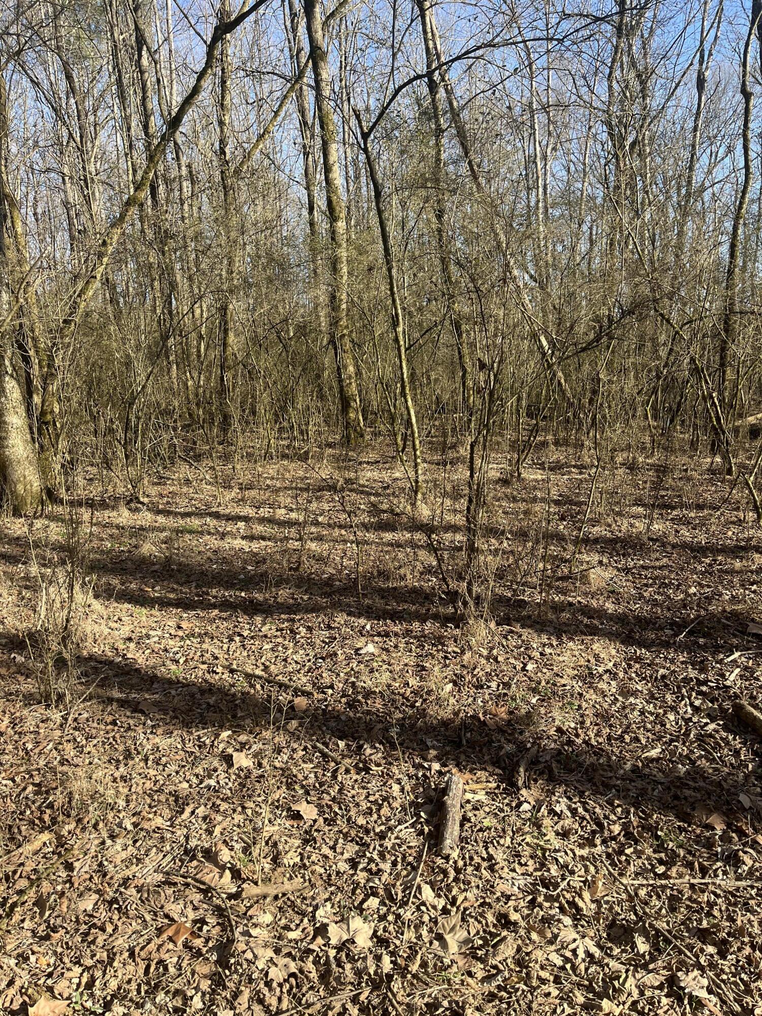 40 Acres Quinton Road, Rocky Face, Georgia image 19