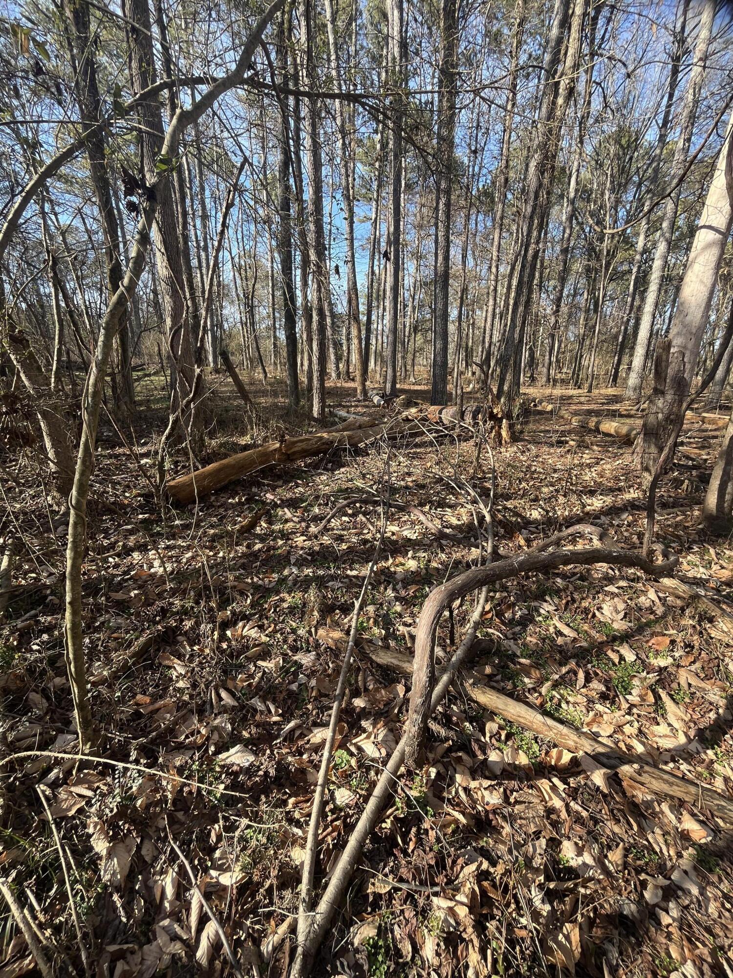 40 Acres Quinton Road, Rocky Face, Georgia image 17