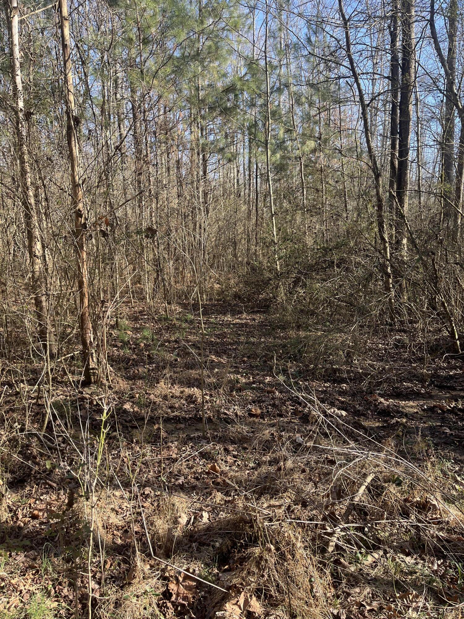 40 Acres Quinton Road, Rocky Face, Georgia image 40