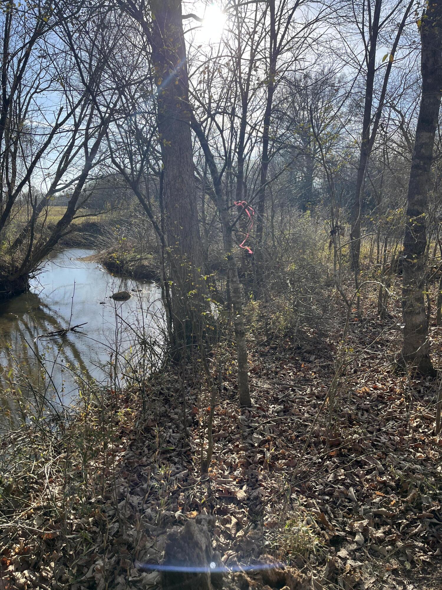 40 Acres Quinton Road, Rocky Face, Georgia image 37