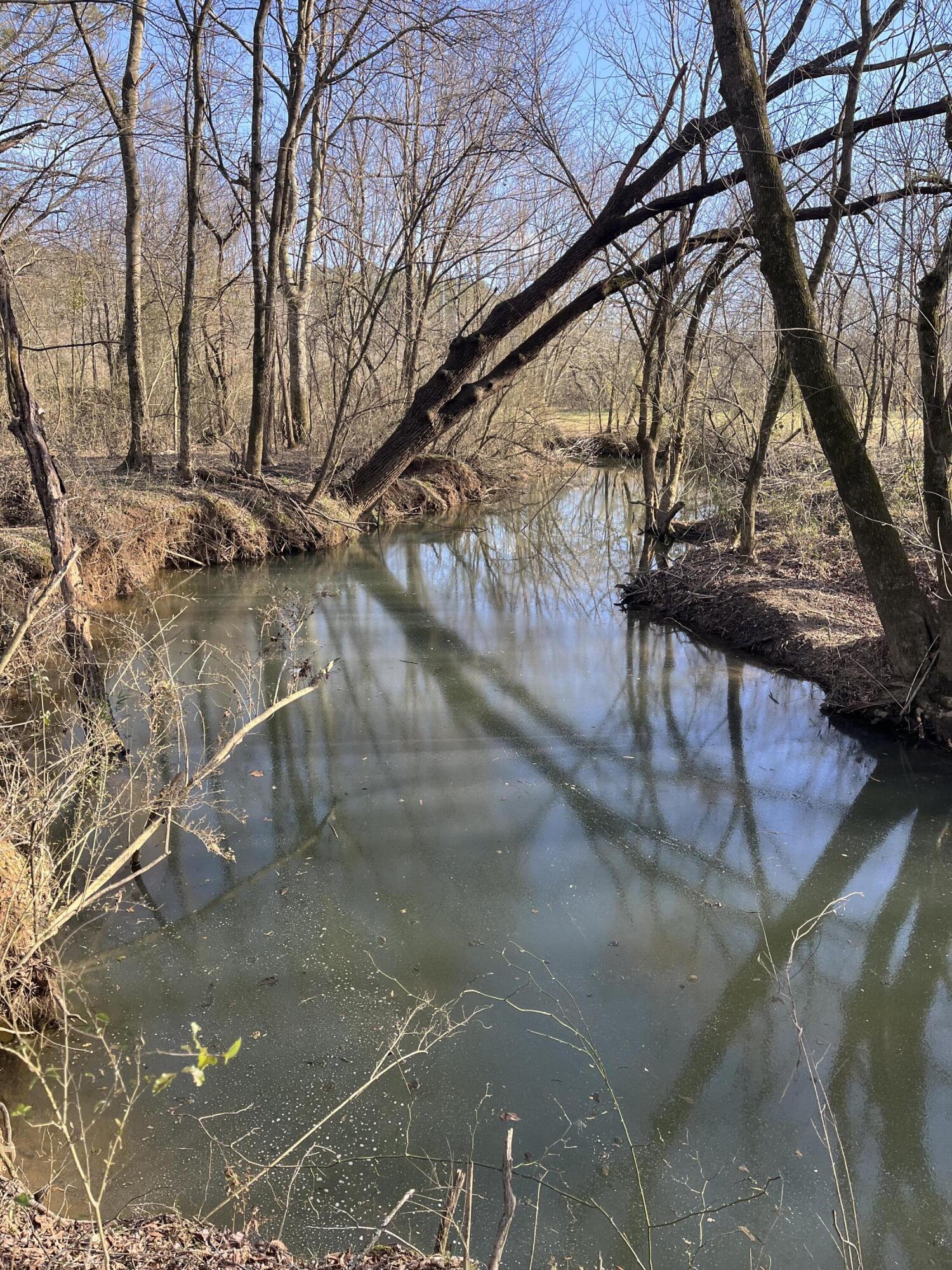 40 Acres Quinton Road, Rocky Face, Georgia image 33