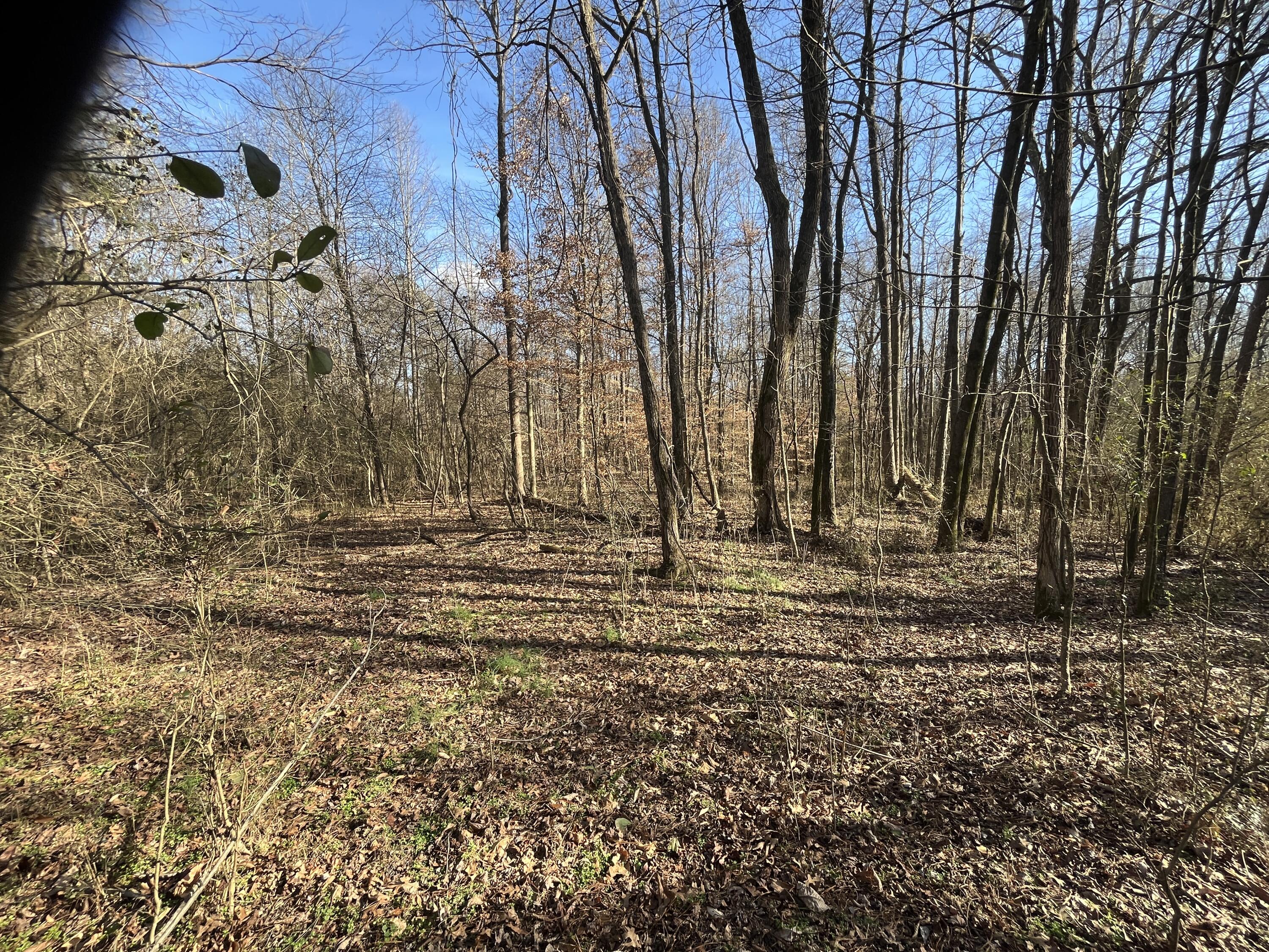 40 Acres Quinton Road, Rocky Face, Georgia image 12