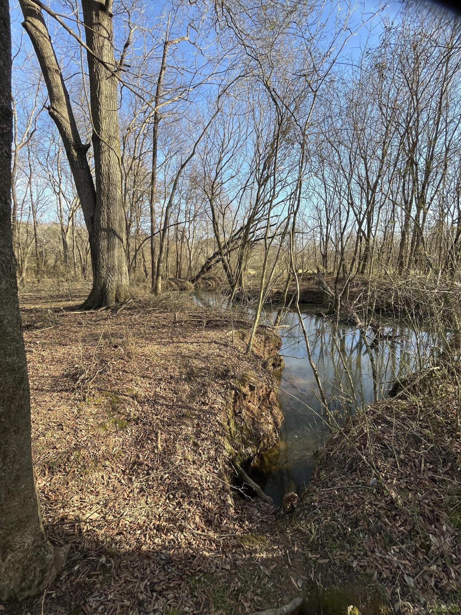 40 Acres Quinton Road, Rocky Face, Georgia image 31