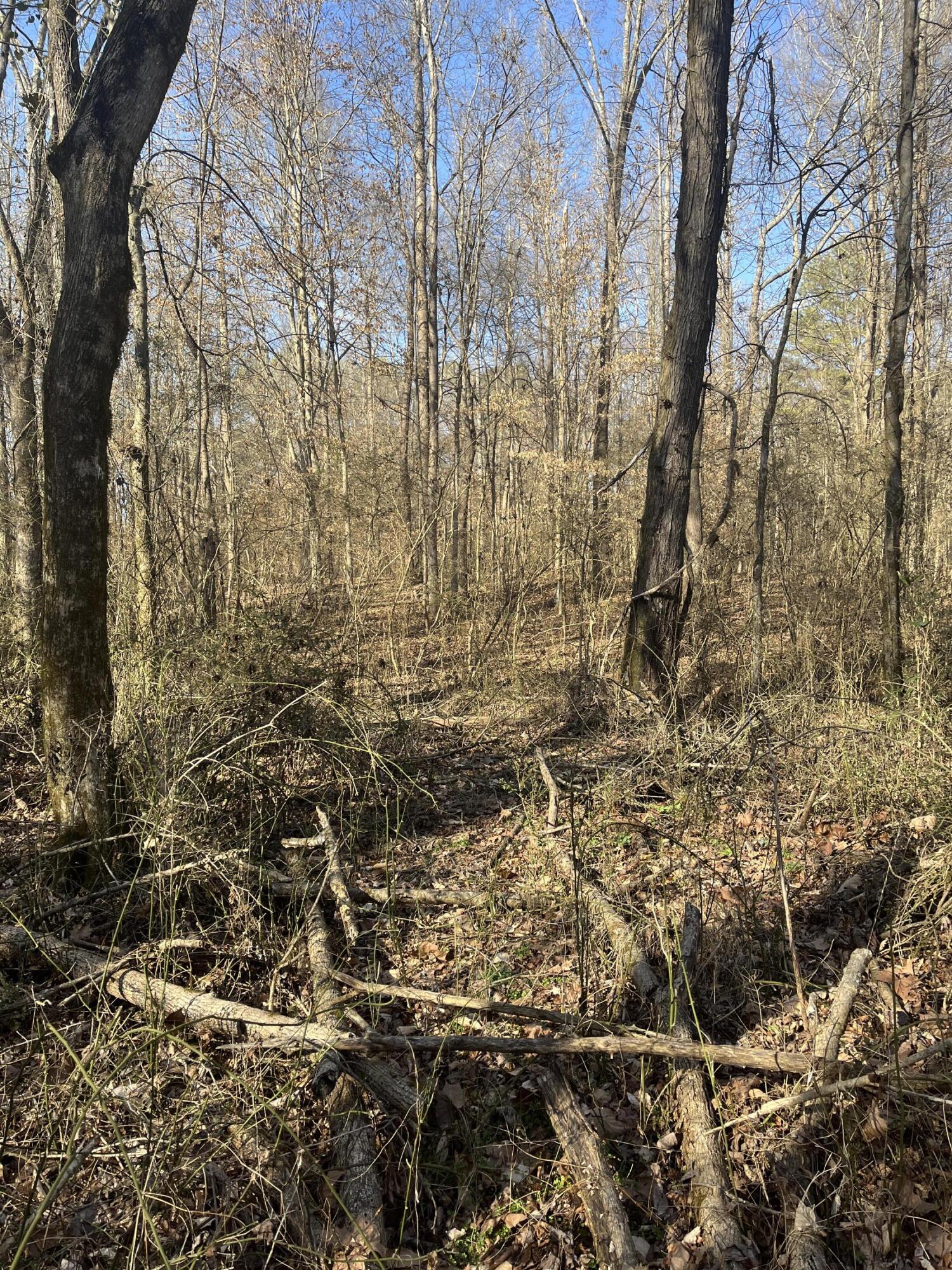 40 Acres Quinton Road, Rocky Face, Georgia image 42
