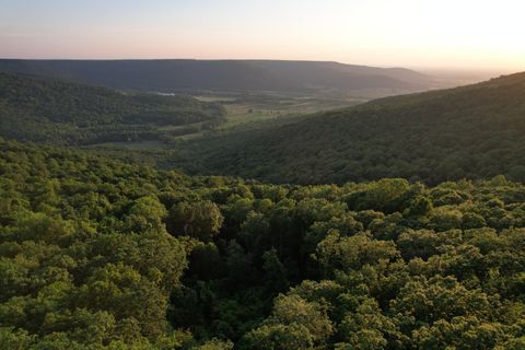 Vacant Land For Sale - 15 Valley View Drive<br/> Gruetli Laager, TN 37339
