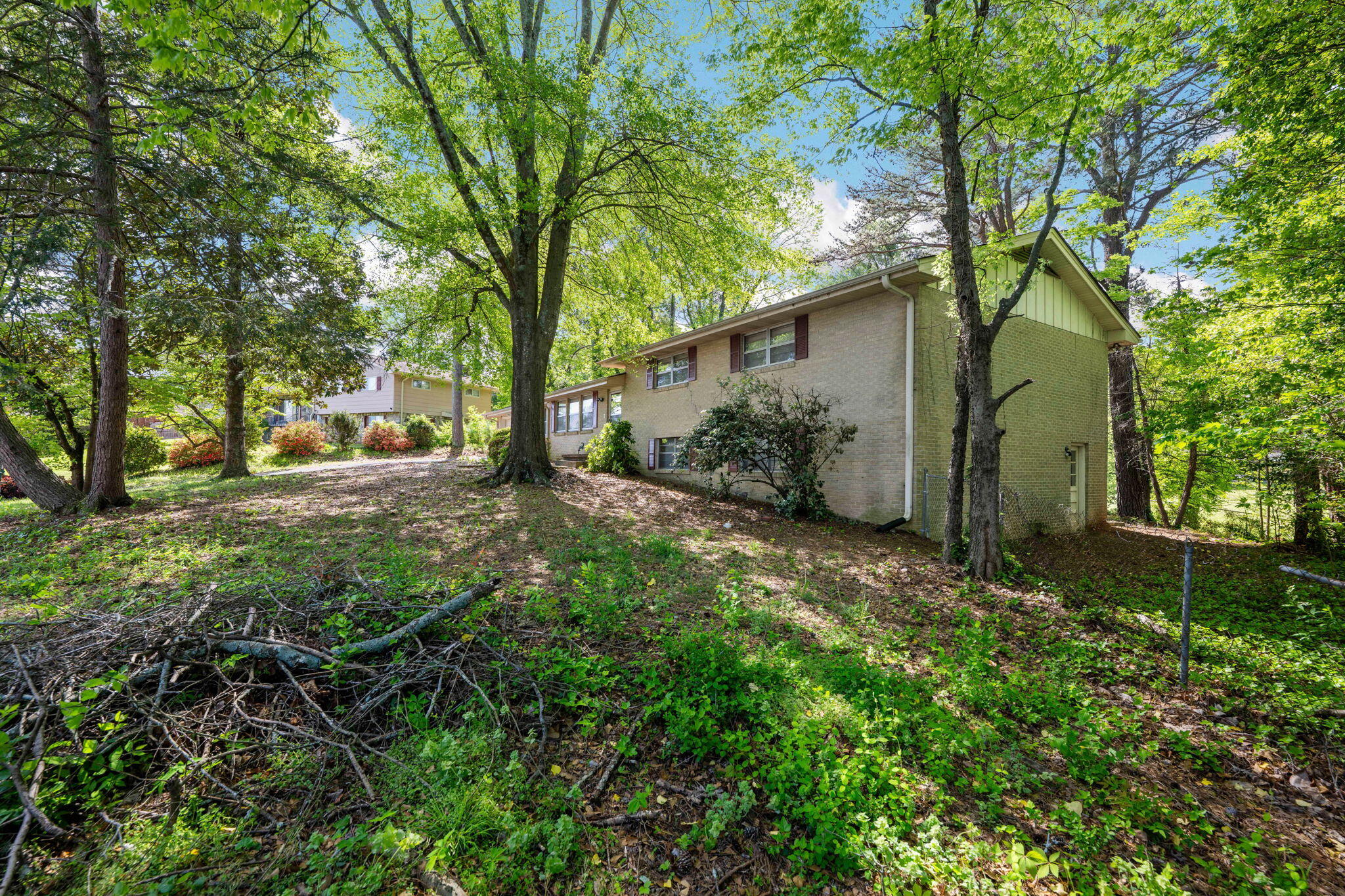 3902 Rosalind Lane, Chattanooga, Tennessee image 29