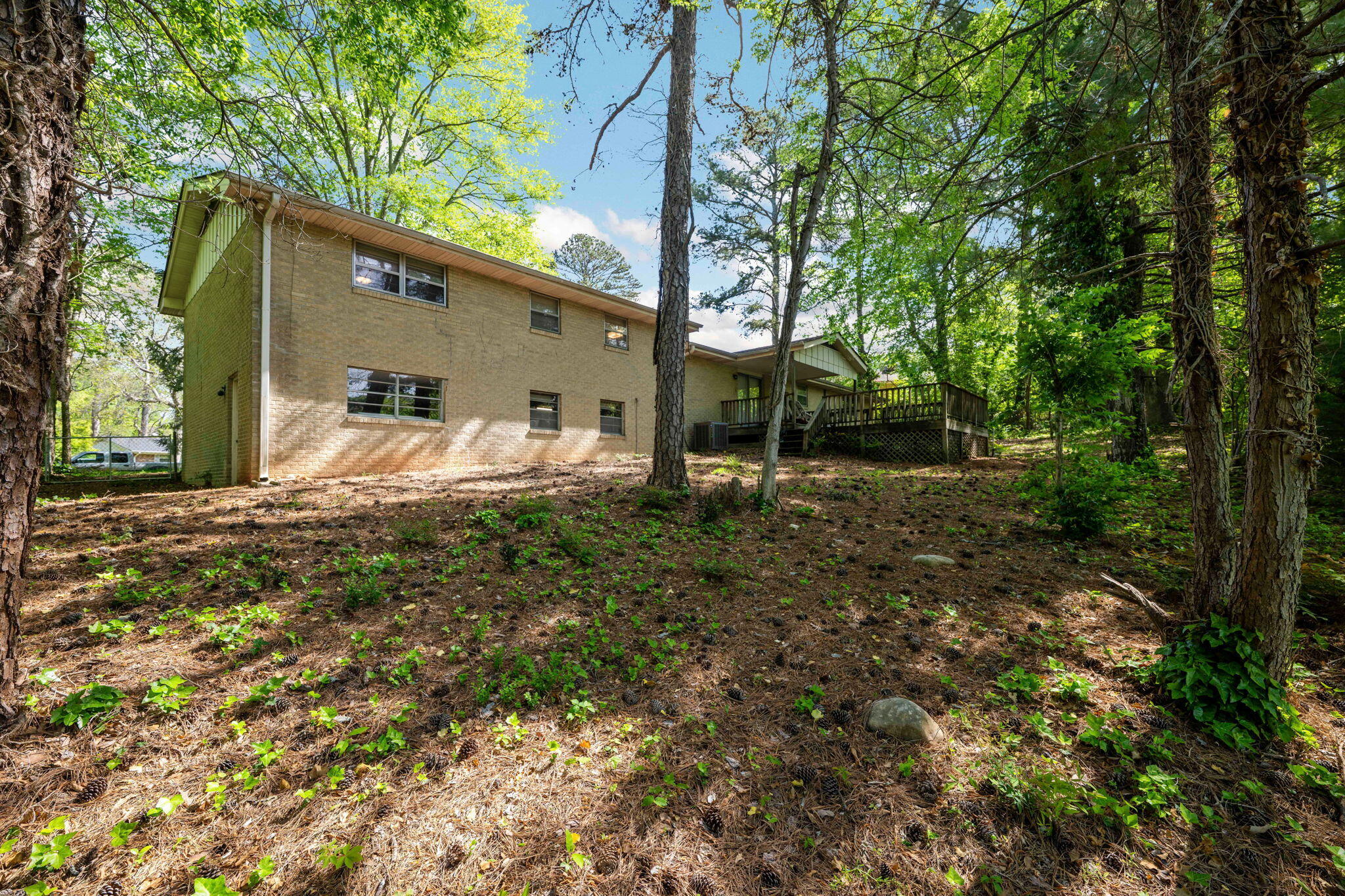 3902 Rosalind Lane, Chattanooga, Tennessee image 4