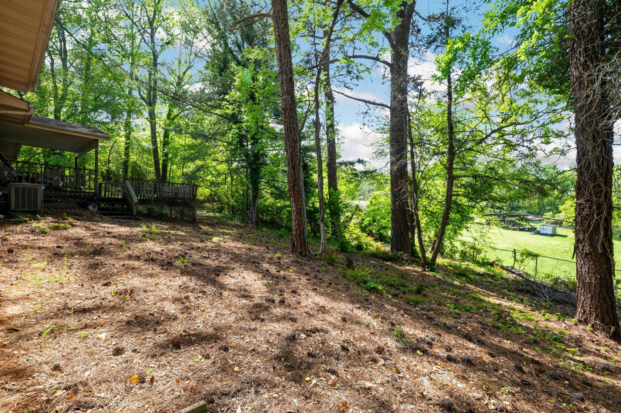 3902 Rosalind Lane, Chattanooga, Tennessee image 30