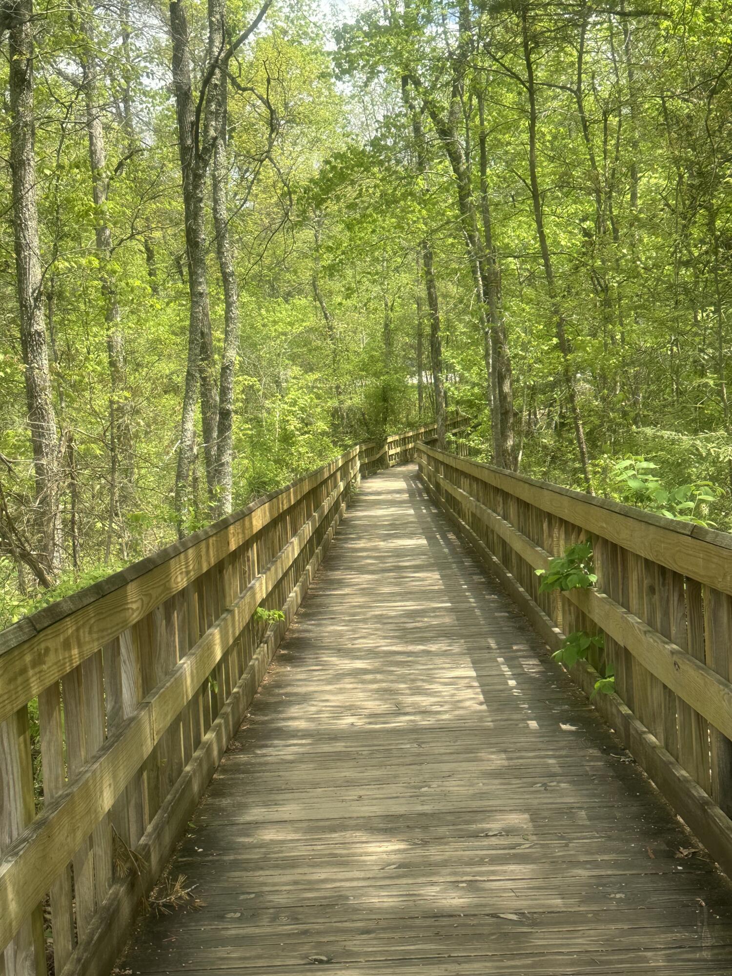 155 Hen House Road, Sequatchie, Tennessee image 24