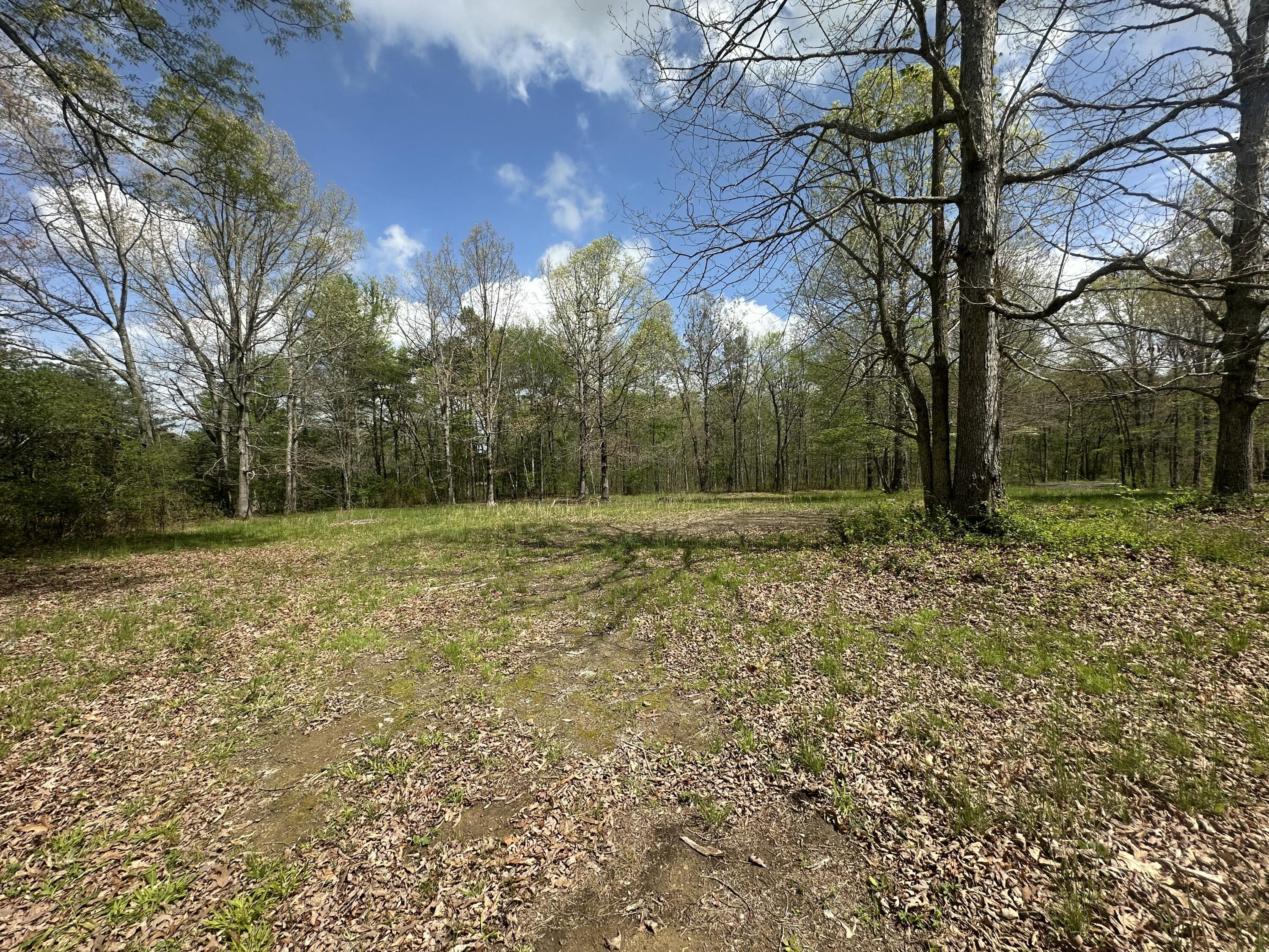 155 Hen House Road, Sequatchie, Tennessee image 3