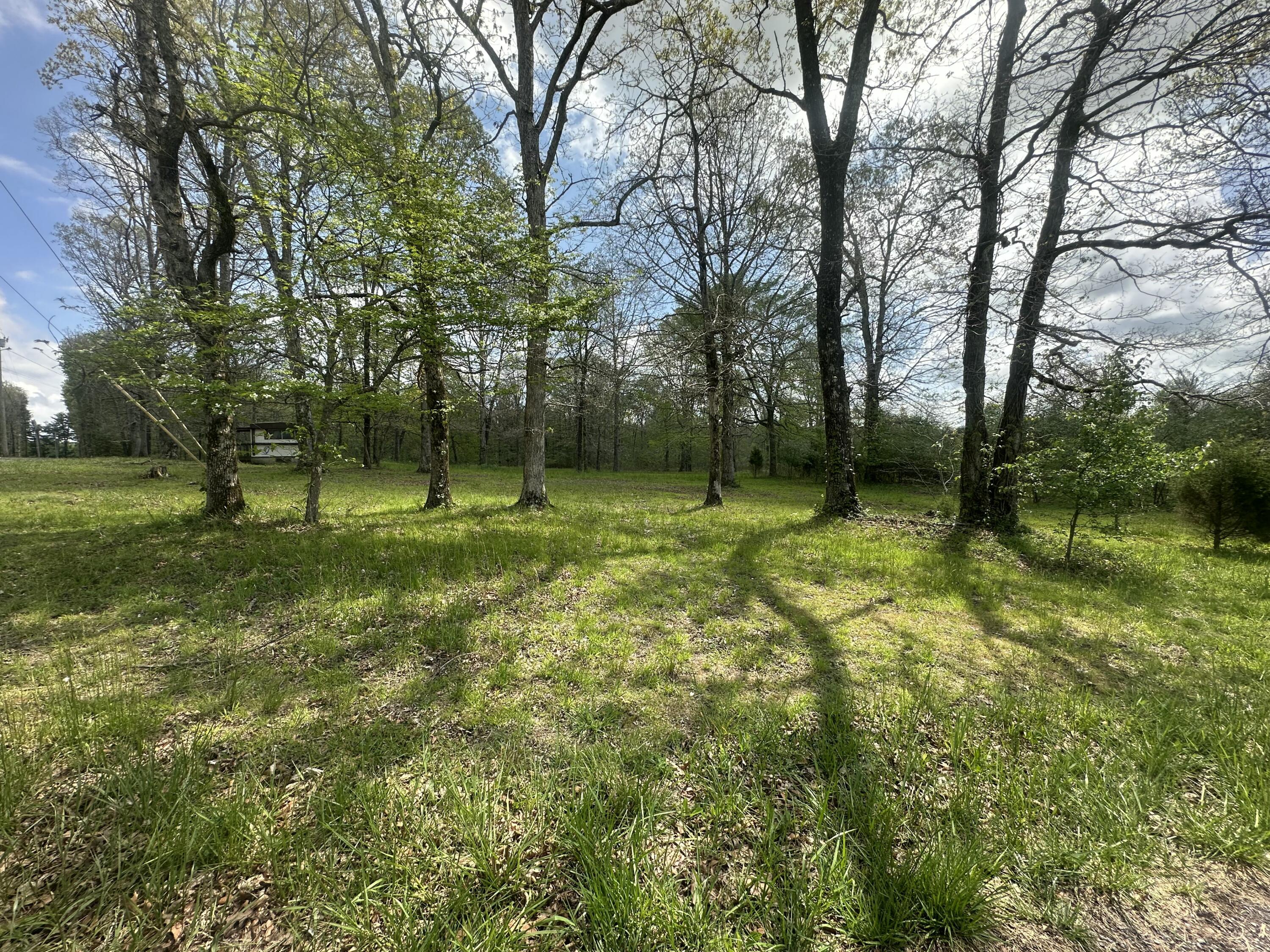 155 Hen House Road, Sequatchie, Tennessee image 5