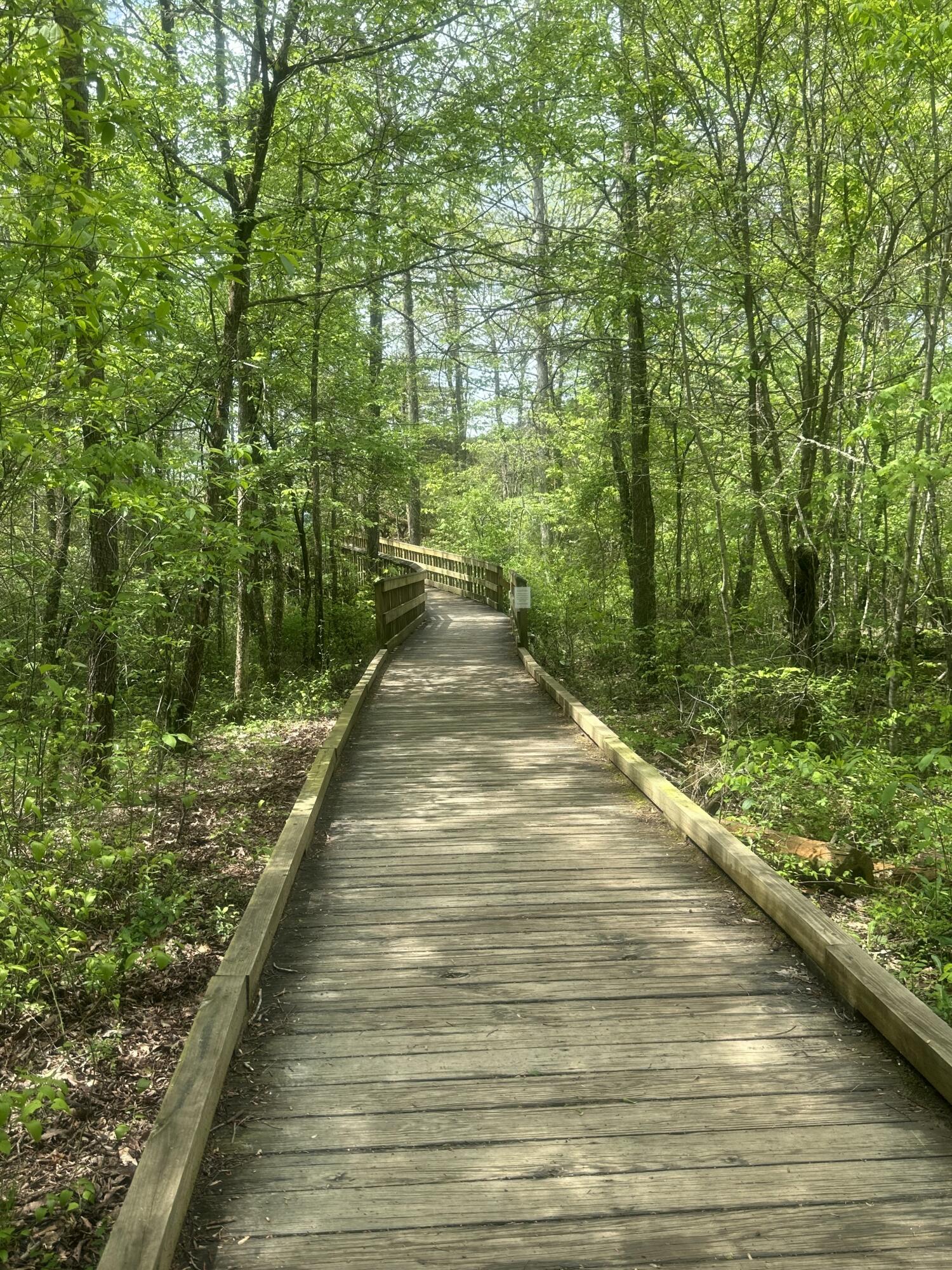 155 Hen House Road, Sequatchie, Tennessee image 18