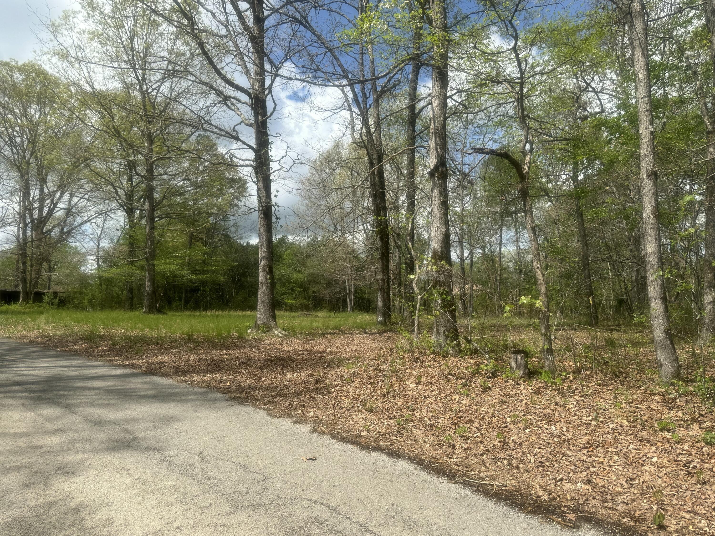 155 Hen House Road, Sequatchie, Tennessee image 8