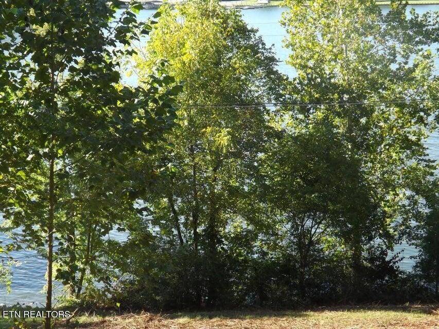 455 Clearwater Drive, Spring City, Tennessee image 8
