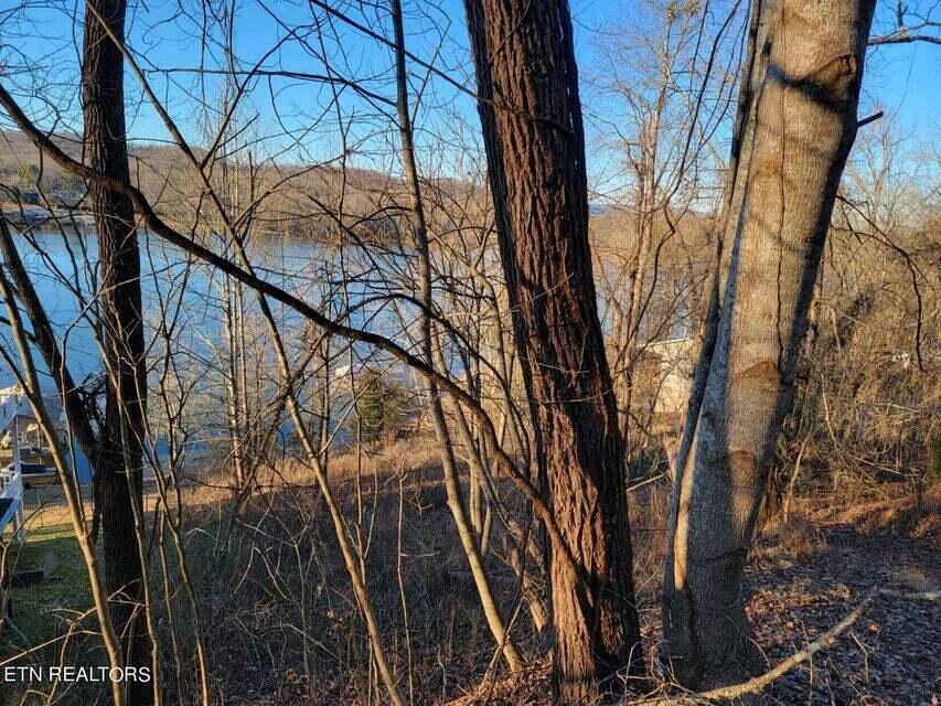 455 Clearwater Drive, Spring City, Tennessee image 4