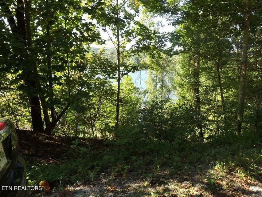 455 Clearwater Drive, Spring City, Tennessee image 10