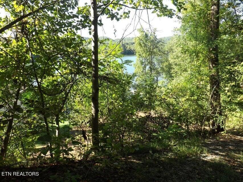 455 Clearwater Drive, Spring City, Tennessee image 11