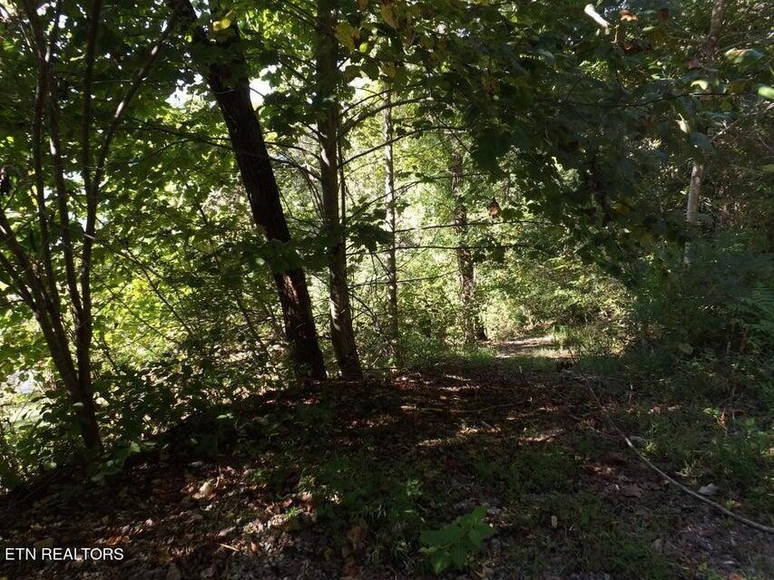 455 Clearwater Drive, Spring City, Tennessee image 16