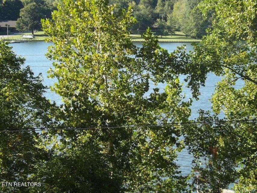 455 Clearwater Drive, Spring City, Tennessee image 6