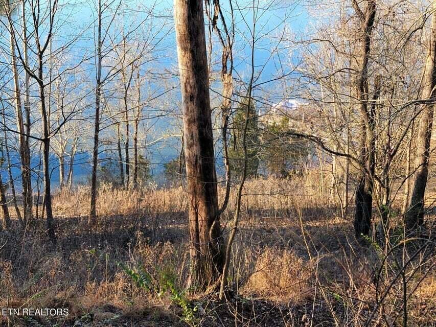 455 Clearwater Drive, Spring City, Tennessee image 1