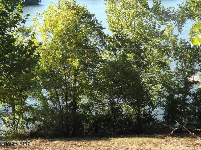 455 Clearwater Drive, Spring City, Tennessee image 7