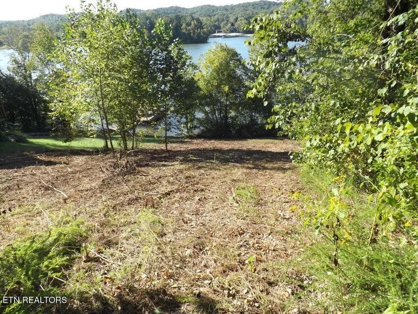 455 Clearwater Drive, Spring City, Tennessee image 13