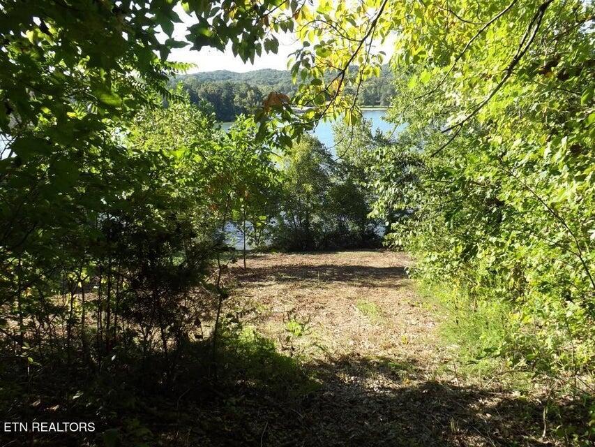 455 Clearwater Drive, Spring City, Tennessee image 12