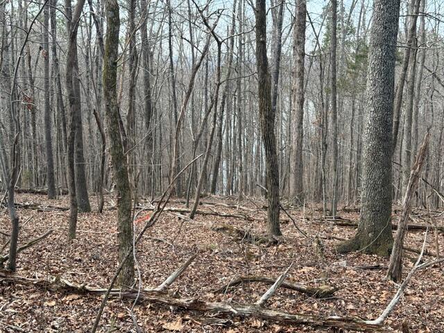 0 Pearson Road Tract 1