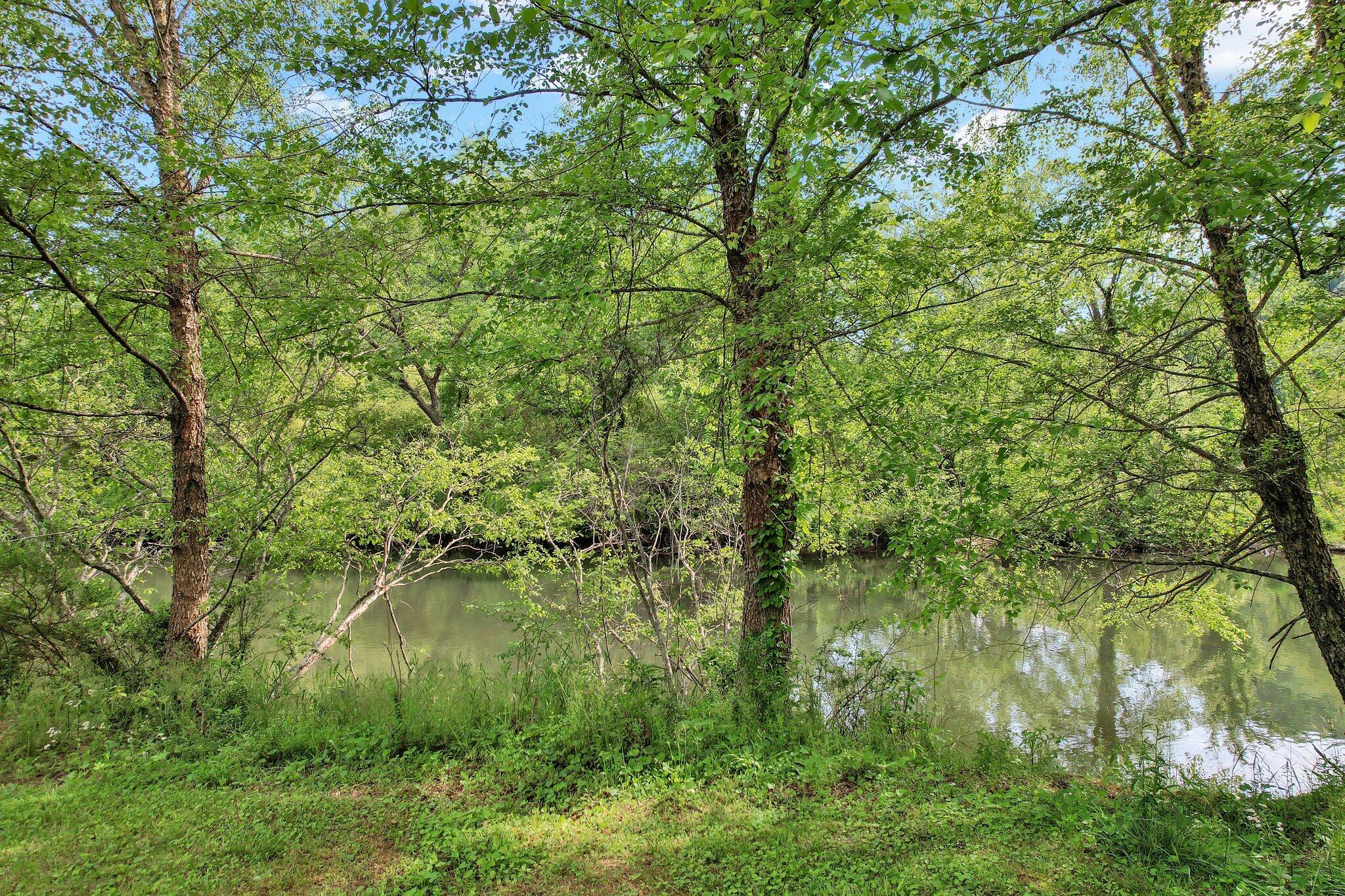 150 Morning Dunn Drive, Reliance, Tennessee image 40
