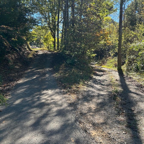 Photo of 6544 Highway 68, Farner, TN 37333 (MLS # 1545142)