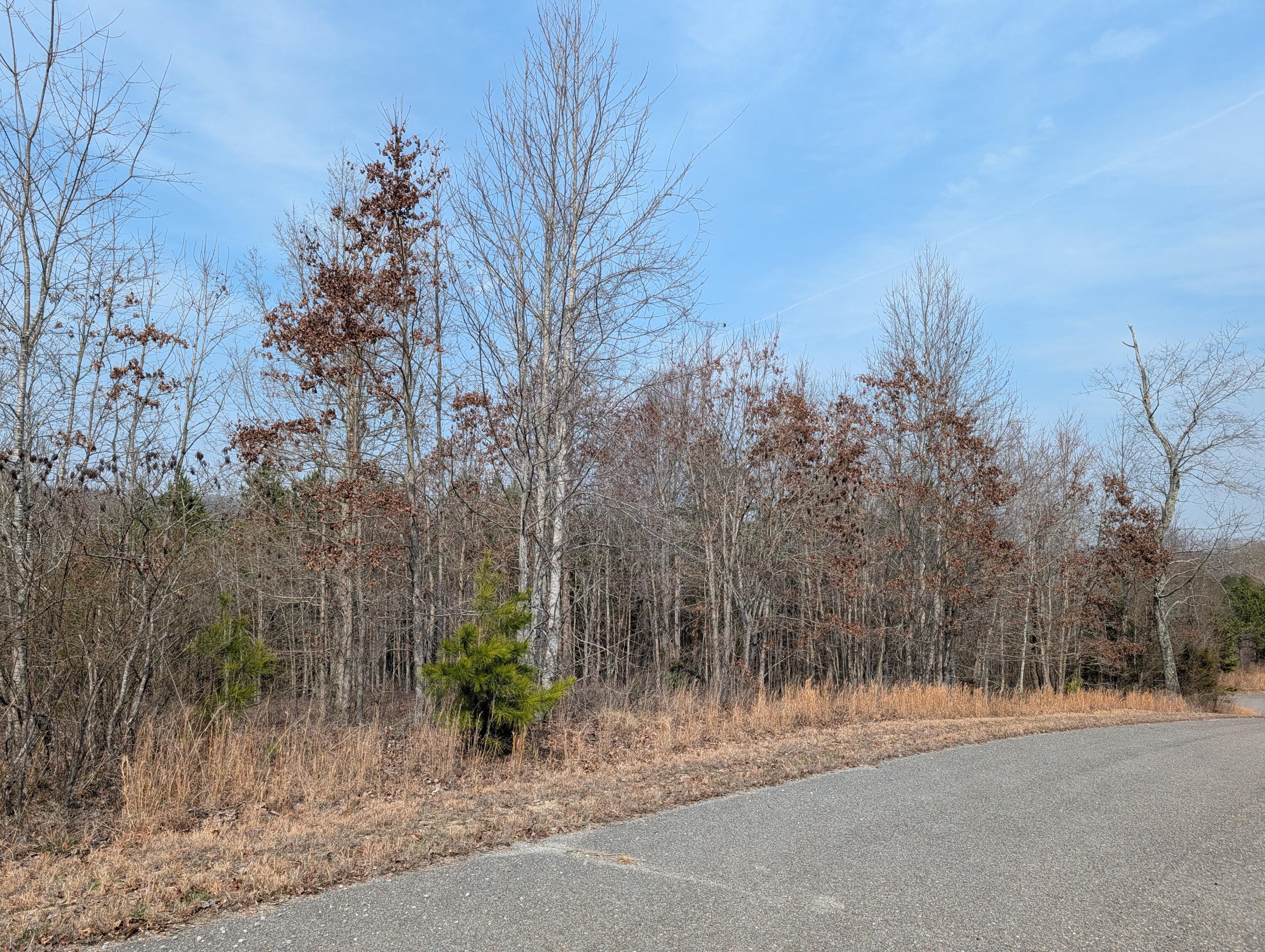 Lot 52 Taylor Way/Fooshee Pass Pass