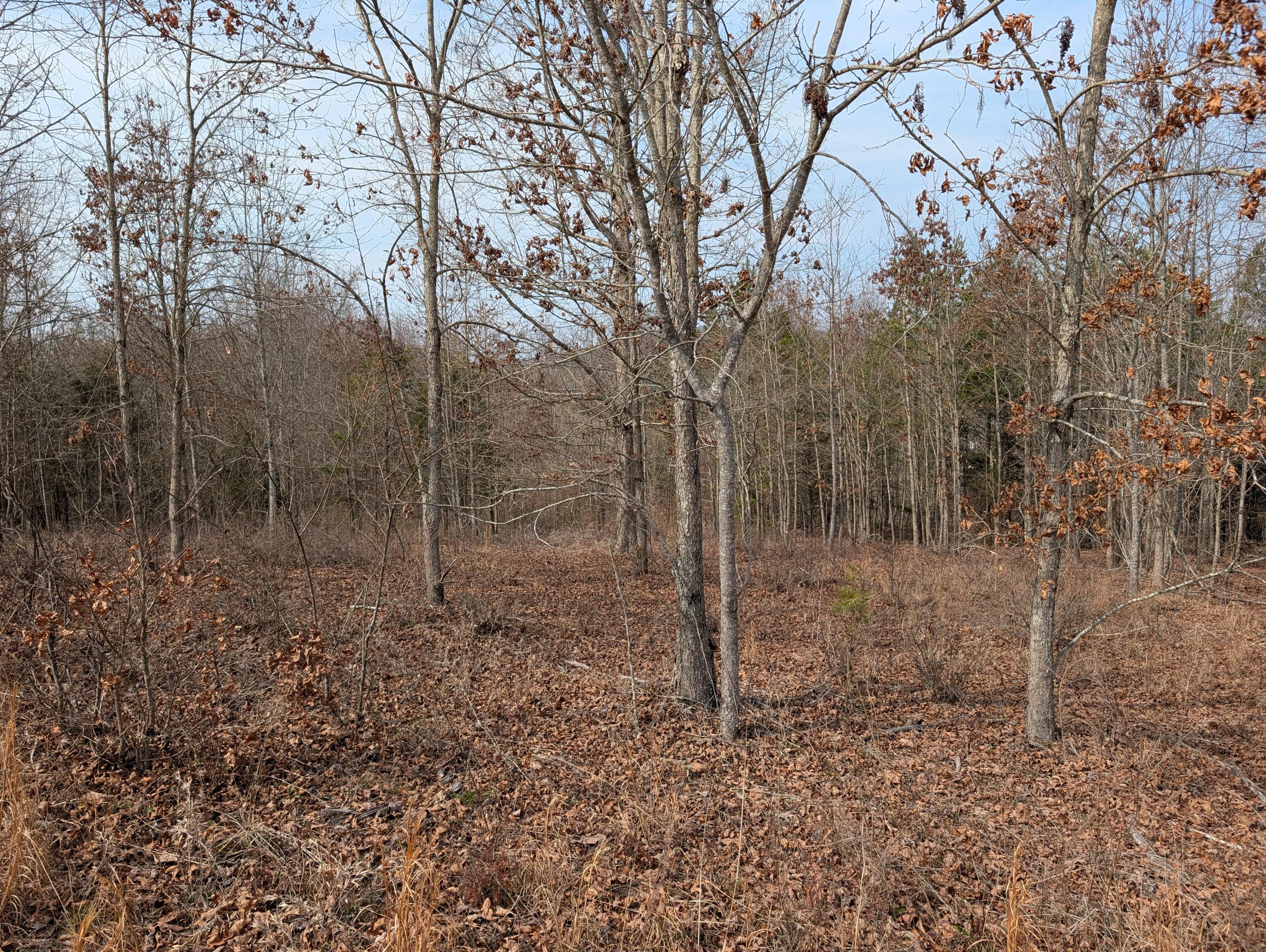 Lot 52 Taylor Way/Fooshee Pass Pass