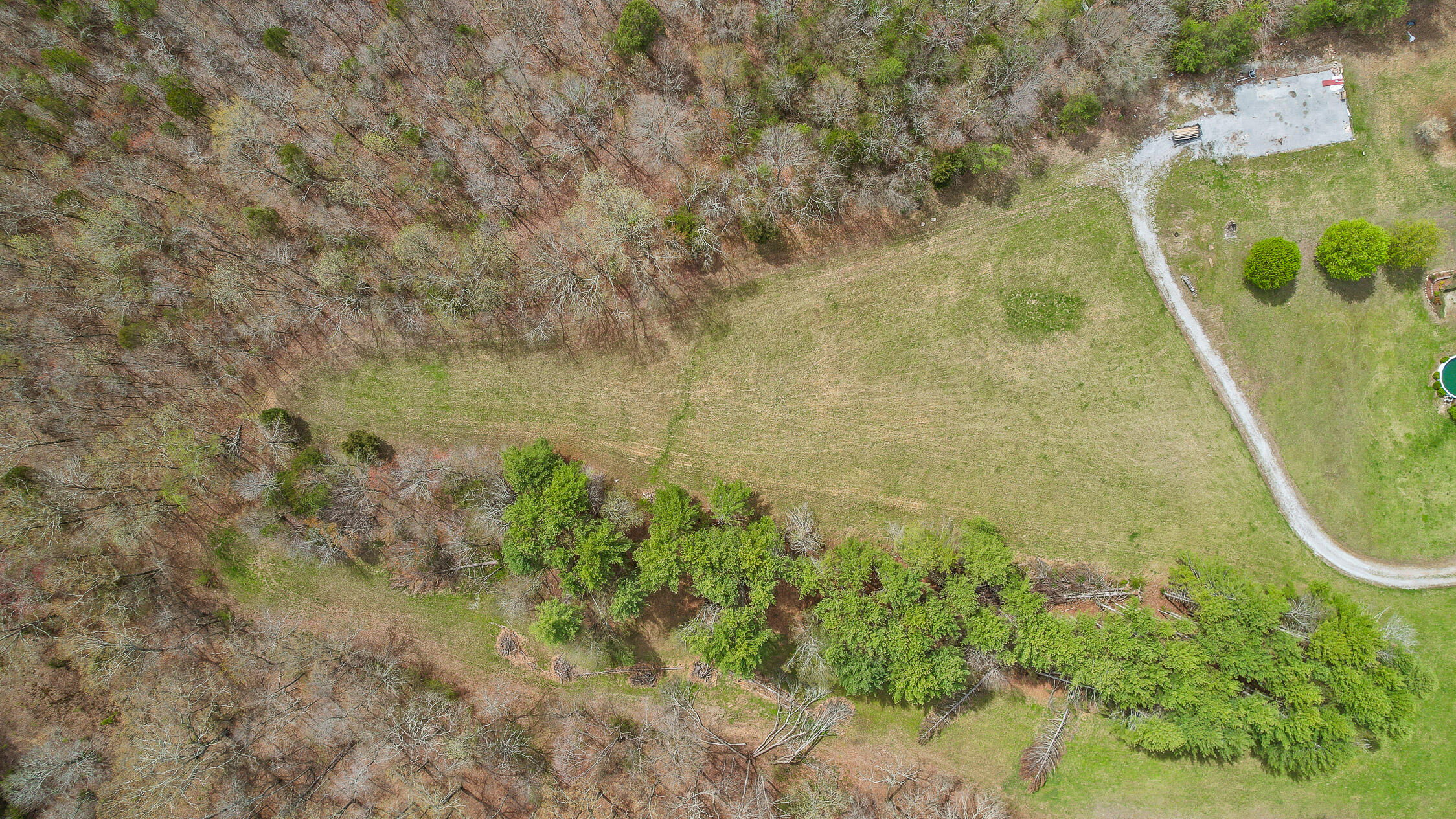 9680 Birchwood Pike, Harrison, Tennessee image 3