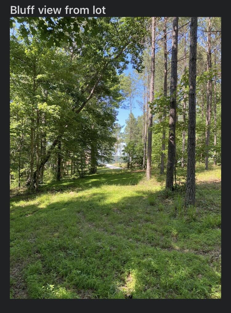 595 Compass Drive #RB-104, Jasper, Tennessee image 22