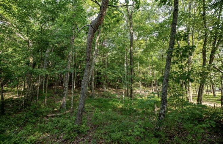 595 Compass Drive #RB-104, Jasper, Tennessee image 9