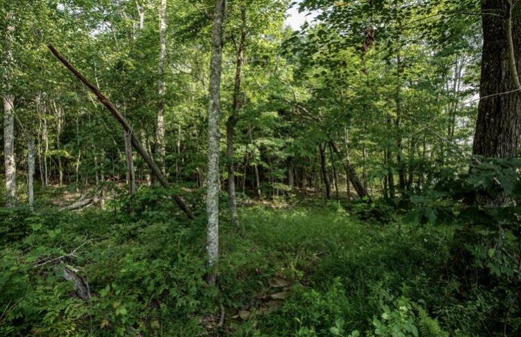 595 Compass Drive #RB-104, Jasper, Tennessee image 13