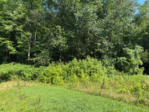 Photo of 340 Brumlow Hollow Road, Soddy Daisy, TN 37379 (MLS # 1538563)