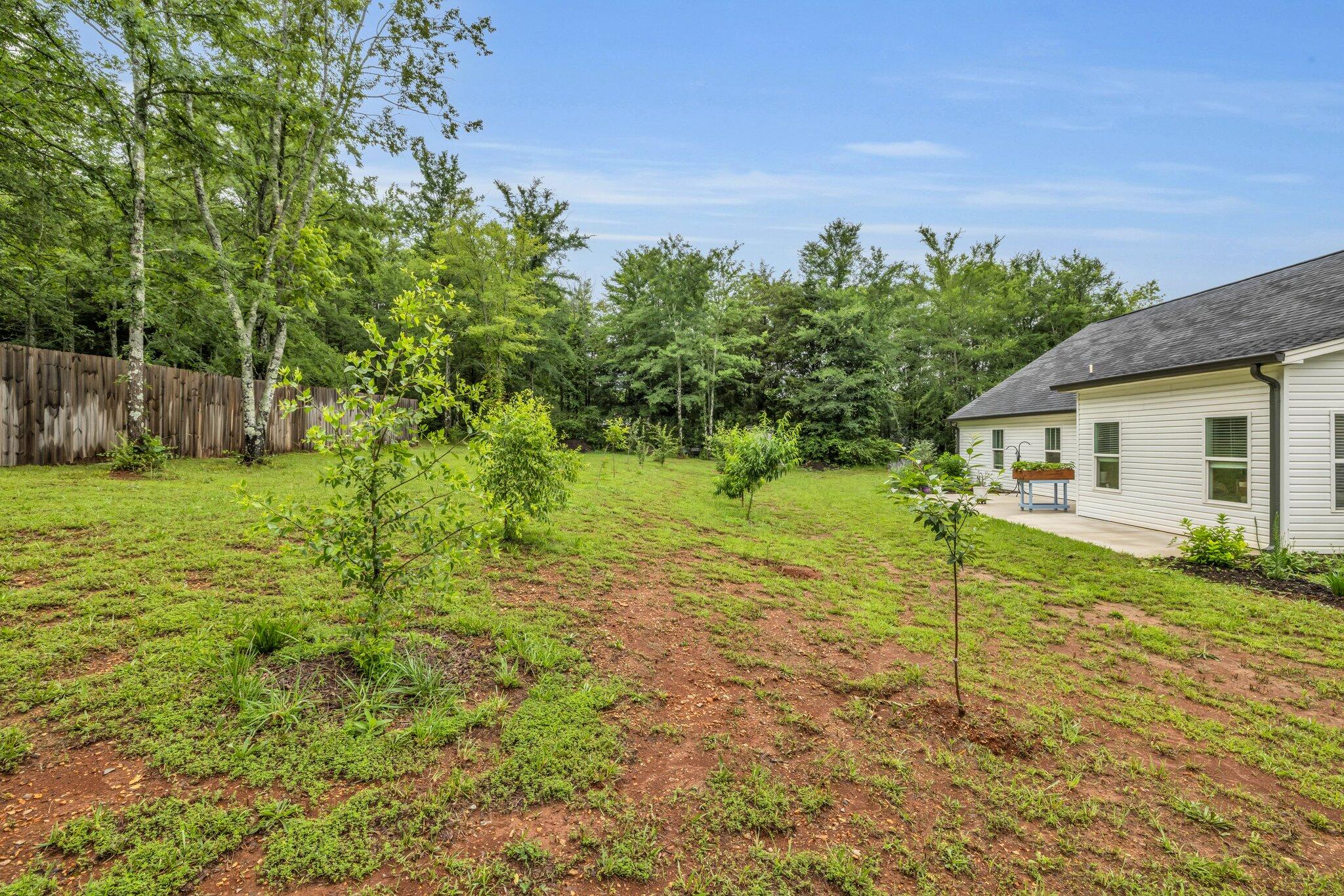 8012 Mcdonald Cemetery Road, Ooltewah, Tennessee image 24