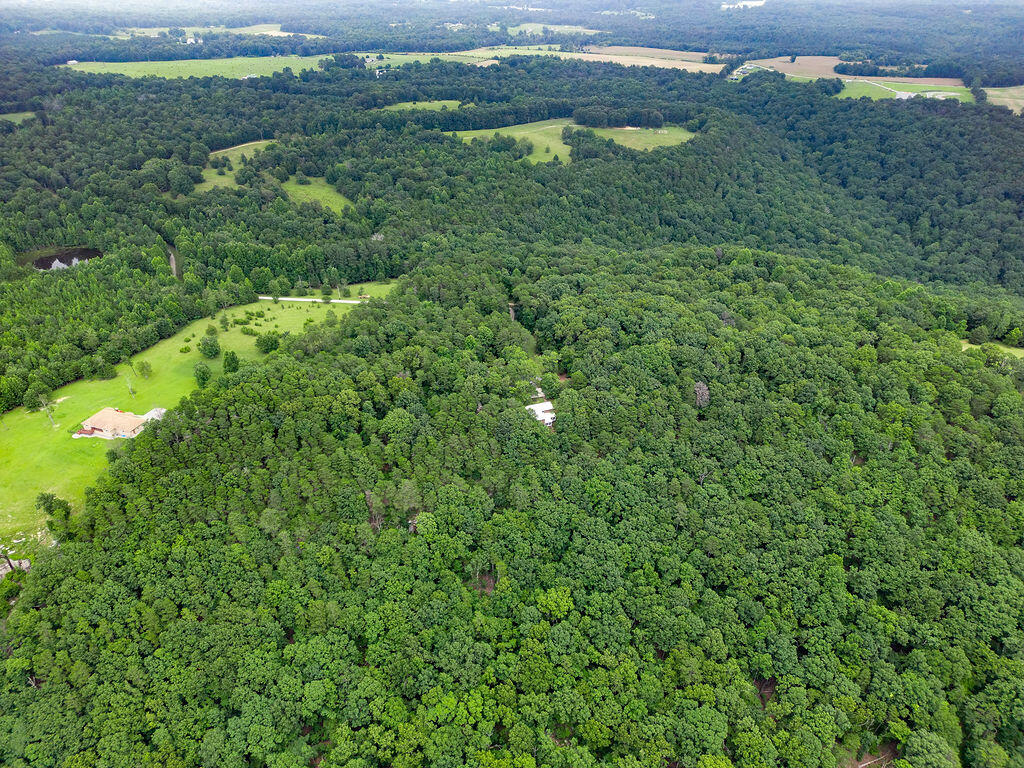 Bryant, Alabama 35958, United States, 3 Bedrooms Bedrooms, ,2 BathroomsBathrooms,Residential,Active,164277