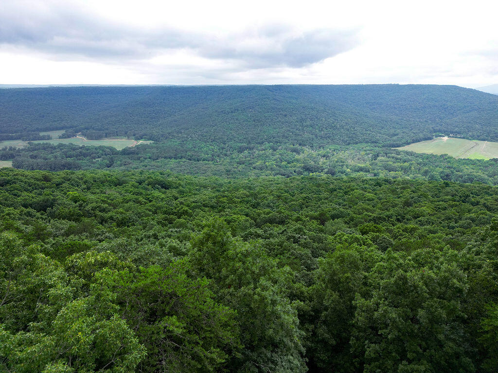 Bryant, Alabama 35958, United States, 3 Bedrooms Bedrooms, ,2 BathroomsBathrooms,Residential,Active,164277