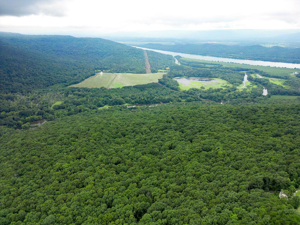 Bryant, Alabama 35958, United States, 3 Bedrooms Bedrooms, ,2 BathroomsBathrooms,Residential,Active,164277