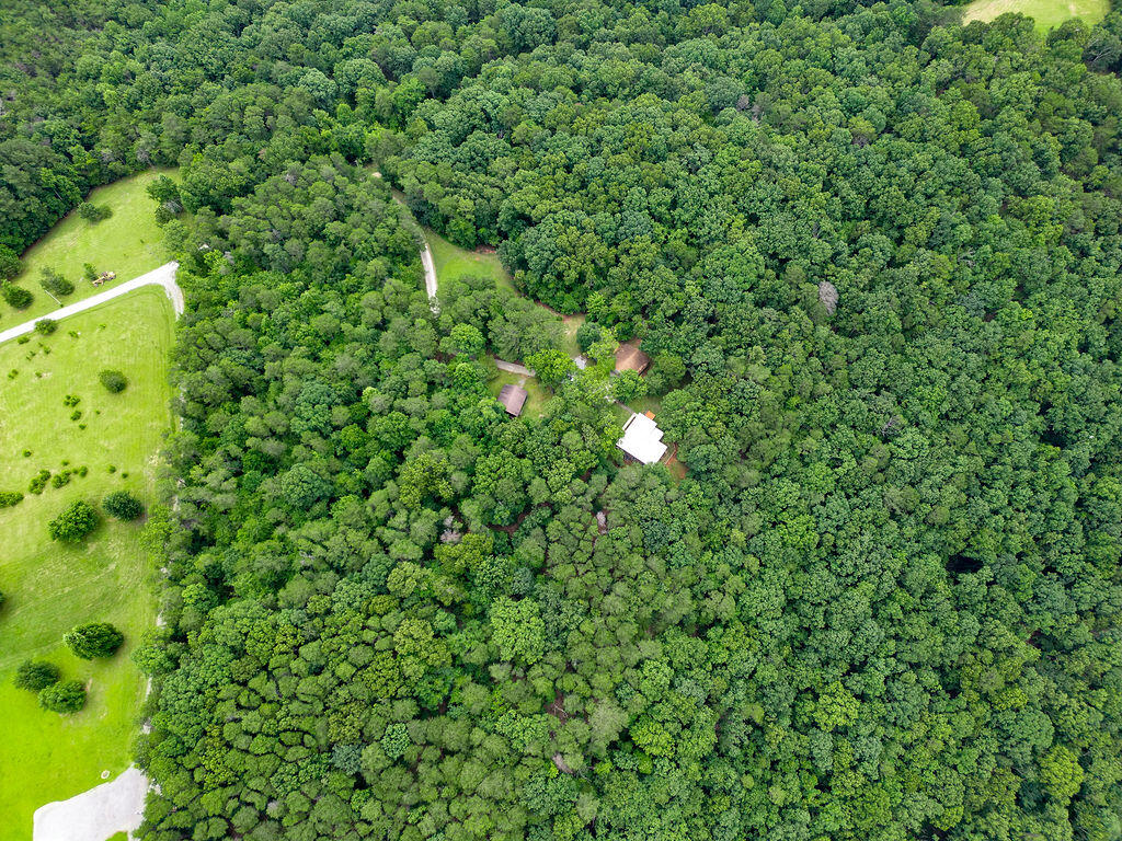 Bryant, Alabama 35958, United States, 3 Bedrooms Bedrooms, ,2 BathroomsBathrooms,Residential,Active,164277