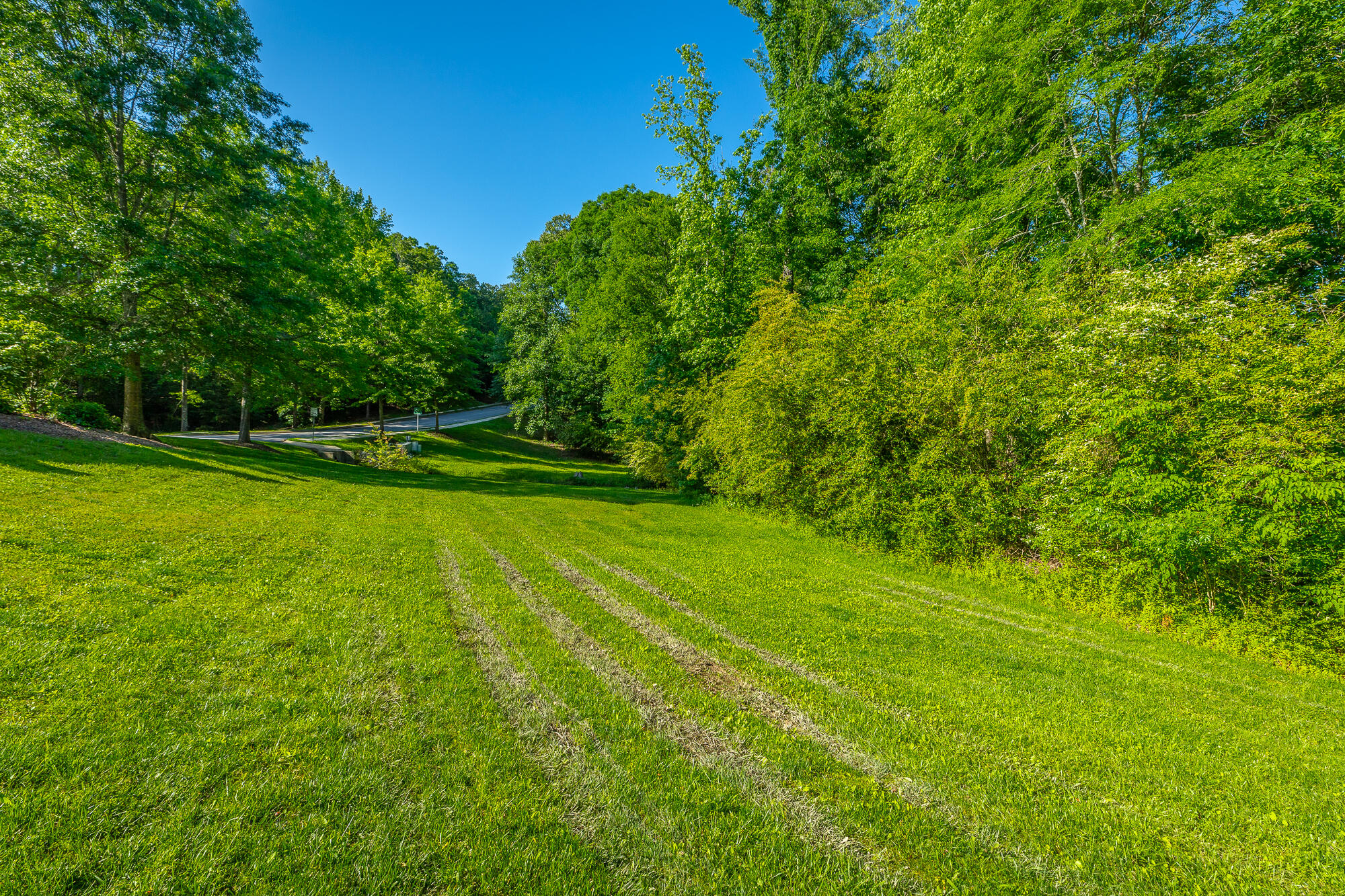 12520 Emerald Bay Drive, Soddy Daisy, Tennessee image 9