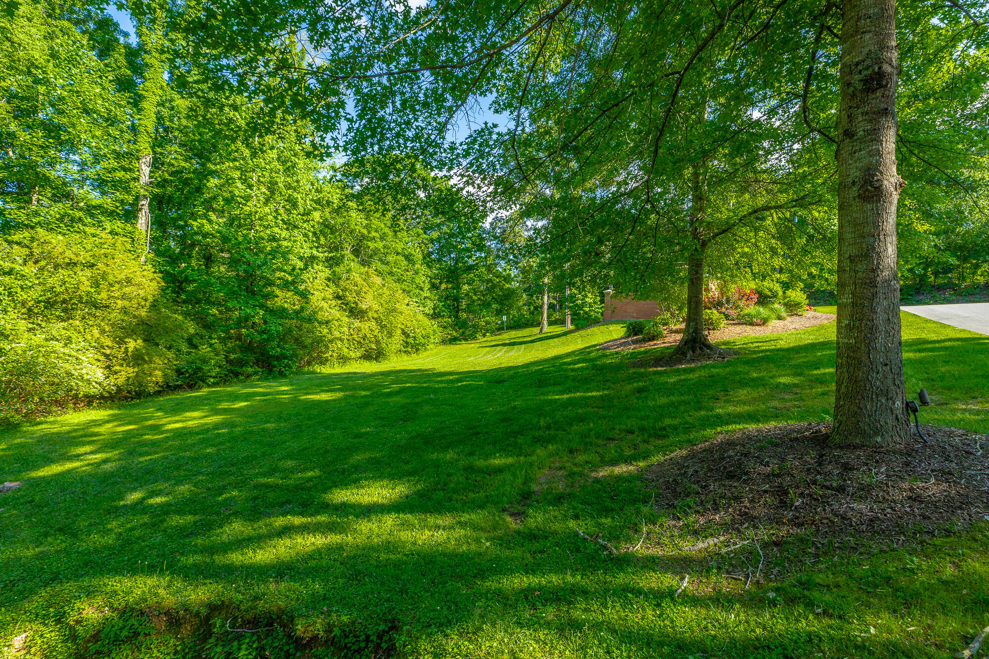 12520 Emerald Bay Drive, Soddy Daisy, Tennessee image 6