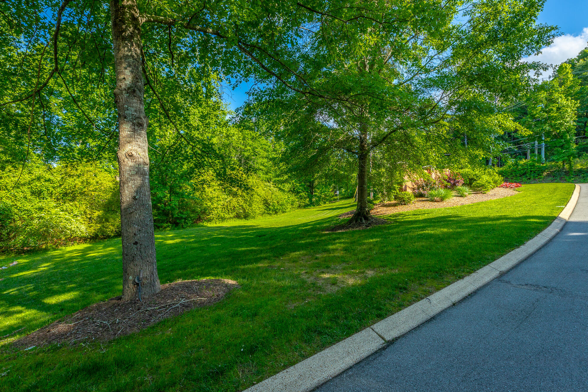12520 Emerald Bay Drive, Soddy Daisy, Tennessee image 8