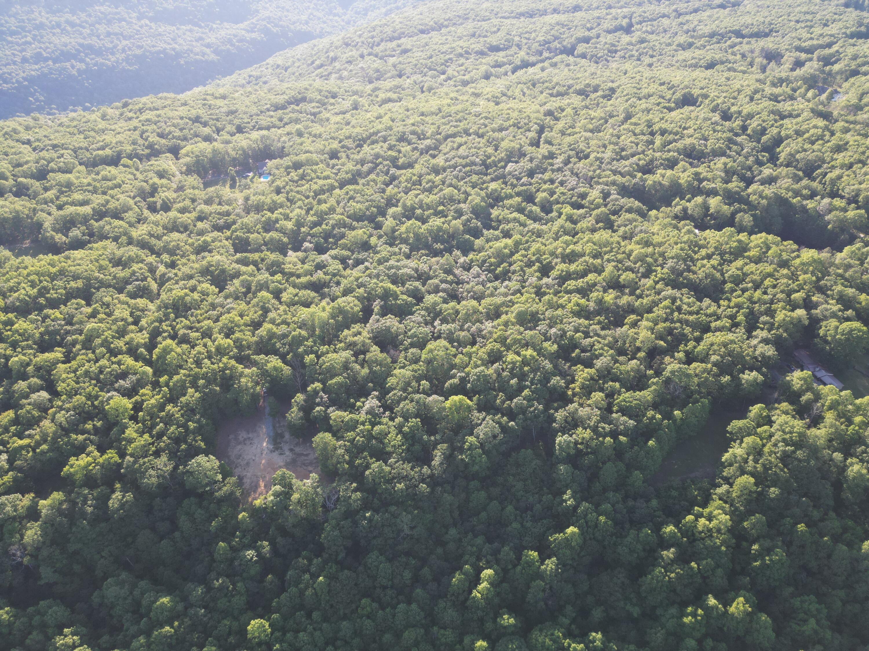 Laurel Lake Drive #LOT 6, Monteagle, Tennessee image 6