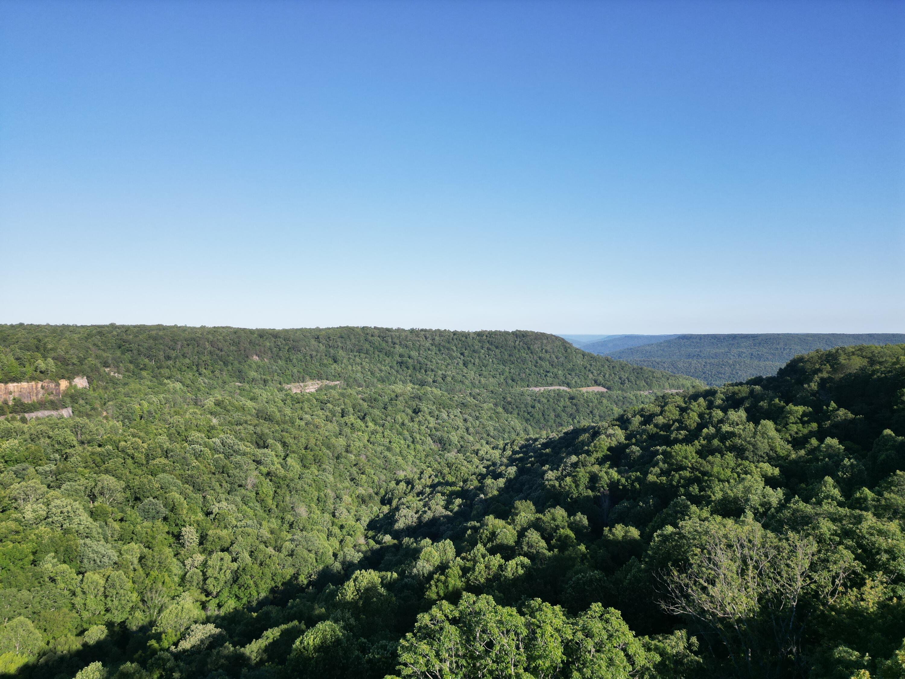 Laurel Lake Drive #LOT 6, Monteagle, Tennessee image 1