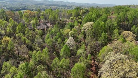 Tiny photo for 000 County Road 675-263-265, Athens, TN 37303 (MLS # 1510971)